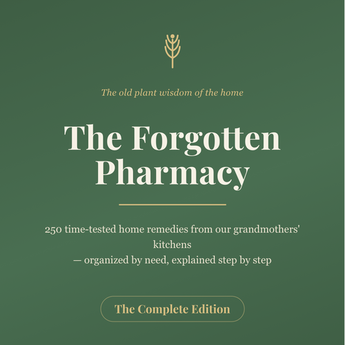 The Forgotten Pharmacy — 250+ Home Remedies — cover